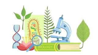 На что способны навоийские школьники