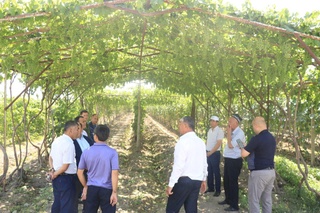 Ер узум, осмон узум...