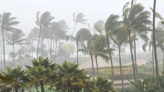 Таиланд ва Мьянма ҳудудларида кузатилган "Яги" тўфони натижасида вафот этган ва жабр кўрганлар орасида Ўзбекистон фуқаролари йўқ