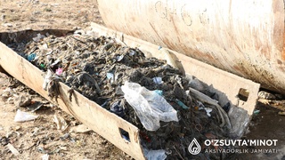 Кто на самом деле виновен в распространении неприятного запаха в Ташкенте?