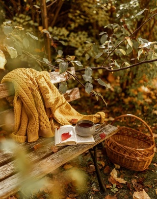 Бу ҳафта айрим жойларда чанг-тўзонлар кузатилиши мумкин — Ўзгидромет