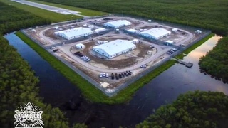 A prison surrounded by alligators will be built in Florida for migrants
