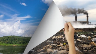 Табиатга зарар етказганлик ҳақида хабар берган шахсларга пул мукофоти берилади