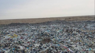 От контейнера до полигона: когда работает принцип «загрязнитель платит»