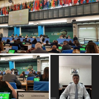 Национальная программа «Яшил макон» представлена на сессии Комитета ФАО по лесному хозяйству