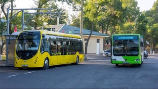 Барои хариди автобусҳои барқӣ ба Тошканд тақрибан 4 миллион доллар ҷудо карда мешавад