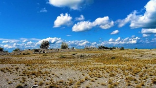 В ООН предупредили о надвигающейся пандемии, от которой нет вакцины