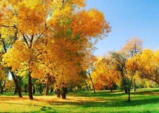 Прогноз погоды на 26 ноября