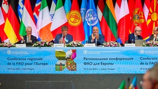 Европа и Центральная Азия: обеспечение продовольственной безопасности и устойчивости агропродовольственных систем