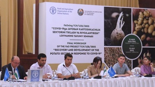 Подведены итоги проекта ФАО, направленного на развитие отрасли картофелеводства