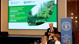 В Ташкенте обсудили дальнейшую работу по устойчивому управлению лесами