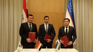 В Ташкенте подписан узбекско-египетский инвестиционный проект стоимостью 20 миллионов долларов