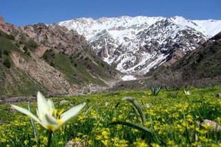 Прогноз погоды на день 20 февраля