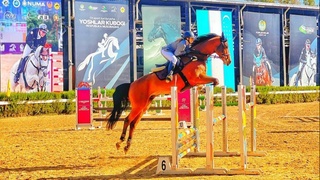 Конный спорт: Кубок Узбекистана в руках молодых