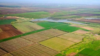 Qishloq xoʻjaligiga moʻljallangan yerlarni ijaraga berishda hokim qarori talab qilinmaydi