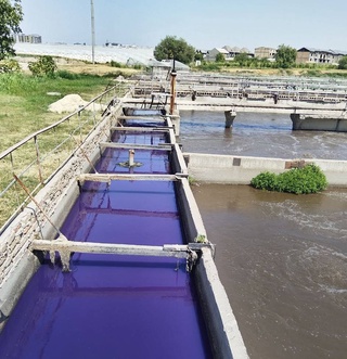 В канал «Бозсу» продолжают сбрасывать окрашенные сточные воды: выявлены нарушения и начислен ущерб на 1,5 млрд сумов