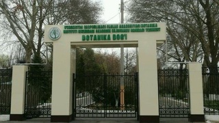 Тошкент Ботаника боғида велосипед, самокат ва скутерда ҳаракатланиш тақиқланди