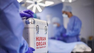 Өзбекстанда реципиент ҳәм донорларды инсан ағзаларын трансплантациялаў бойынша операцияға таярлаў тәртиби белгиленди