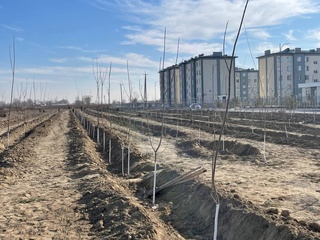 “Яшил” фикрлашни шакллантириш муҳим аҳамиятга эга