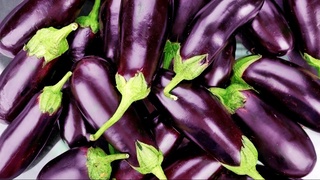 Узбекистан экспортировал баклажанов на 1,5 миллиона долларов США