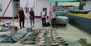 В Сырдарье пресечена незаконная ловля рыбы с использованием электроудочки: ущерб оценен почти в 1 миллиард сумов