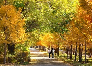 Weather forecast for October 21st