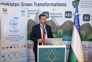 COP28: к 2050 году число климатических мигрантов может достичь 1,2 миллиарда