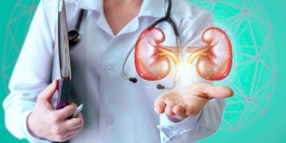 Inson a'zolari transplantatsiyasi qonun bilan tartibga solindi