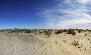 O'zbekistonda yer degradatsiyasining neytralligini saqlash bo'yicha yangi loyiha ishga tushdi