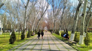 Пешгӯии обу ҳаво барои 15 январ