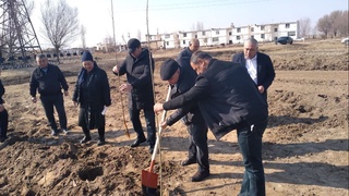 Жорий йил Беруний туманида 1,6 миллион туп тут кўчати экиш кўзда тутилган