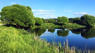 Weather forecast for August 22