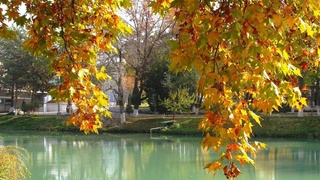 Солтүстік аумақтарға ылғалды ауа массалары түседі деп күтілуде