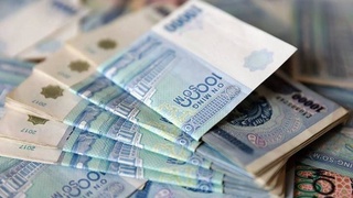 Olib qoʻyilgan yer egasiga noqulayliklar uchun qoʻshimcha toʻlov toʻlanadi