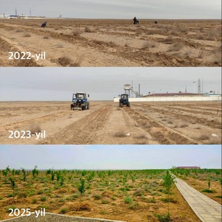 Чўлда ҳаёт барпо этилмоқда!