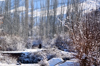 Haftaning ikkinchi yarmida harorat asta-sekin pasayadi — Oʻzgidromet
