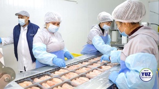 Гӯшти мурғ аз Пскент ба ширкати KFC-и Тоҷикистон интиқол дода мешавад