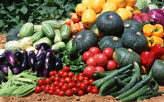 Муайян ҳуддудлар ажратилади