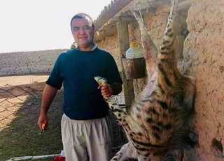 Житель Сурхандарьи убил краснокнижную полосатую гиену, нанеся ущерб природе в 1 млрд сумов