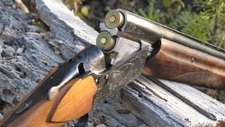 Jizzaxda ovchi oʻz sherigini otib qoʻydi