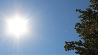 Bugun ayrim joylarda 37 daraja issiq boʻladi