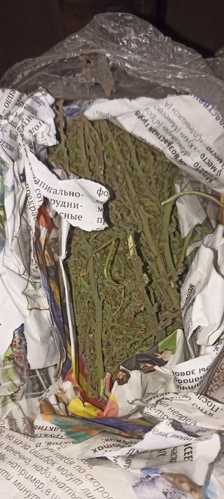 Vagon gʻildiraklari orasiga yashirilgan “ogʻu” fosh boʻldi