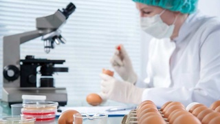 От Кодекса Алиментариус - к Программе со стратегической расстановкой приоритетов