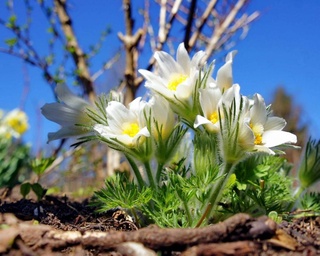 Прогноз погоды на 6 марта