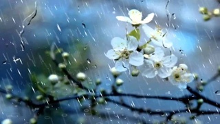 Прогноз погоды на 22 марта