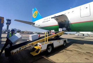 Министерство здравоохранения Египта продолжает поддерживать борьбу в Узбекистане с гепатитом «С»