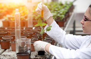 Донишҷӯёни донишгоҳҳои кишоварзии Ӯзбекистон метавонанд дар Бритониёи Кабир таҷриба омӯзанд