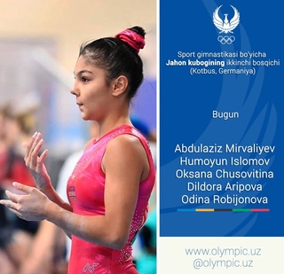 В Котбусе стартует очередной этап Кубка мира по спортивной гимнастике