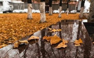 Прогноз погоды на 19 декабря