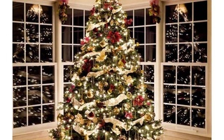 Можно ли сдать елку обратно в магазин?